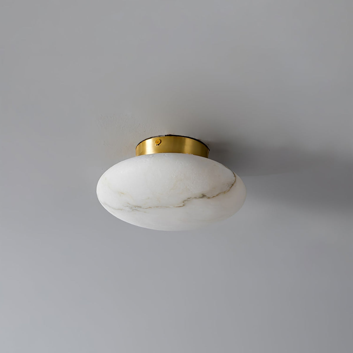 Oval Alabaster Brass LED Ceiling Light